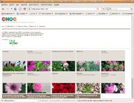 Confederació d’ Horticultura Ornamental de Catalunya