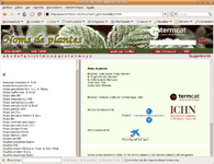 Termcat-Nombres de plantas